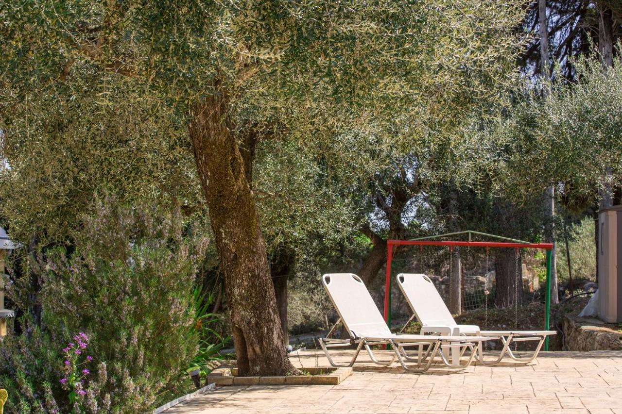 Olive Grove Poolside Apartments Benitses  Eksteriør bilde