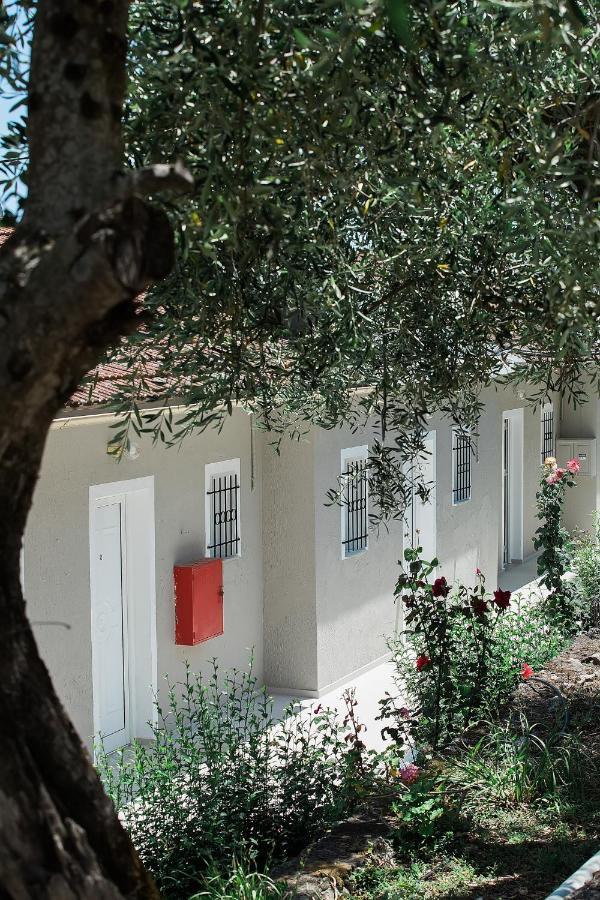 Olive Grove Poolside Apartments Benitses  Eksteriør bilde