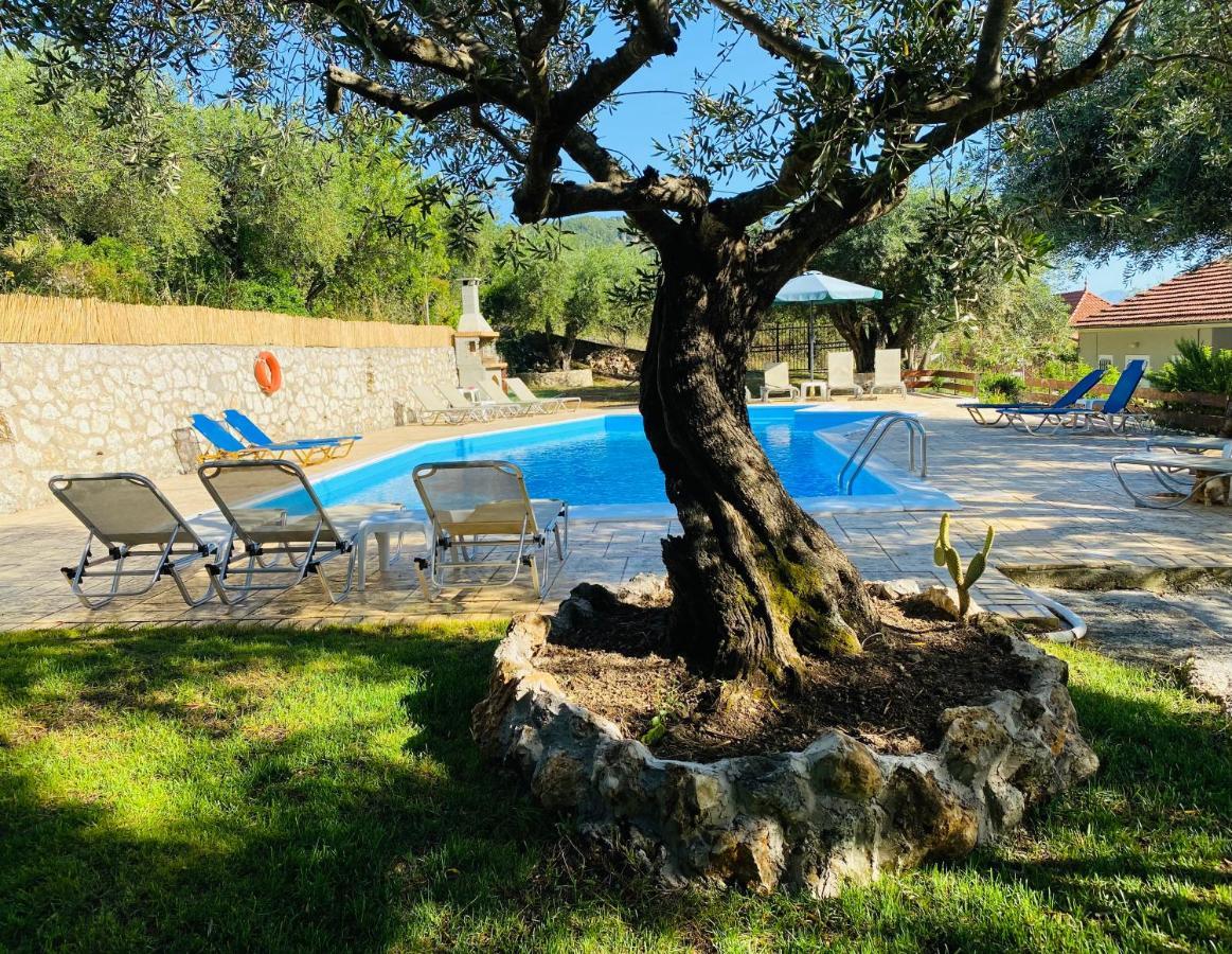Olive Grove Poolside Apartments Benitses  Eksteriør bilde